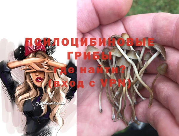 гидропоника Алексеевка