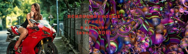 гидра Алзамай