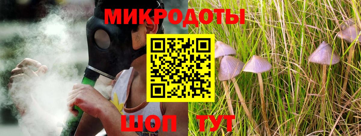 Галлюциногенные грибы Psilocybine cubensis Салават